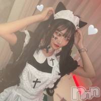 ʥå륺С Bar  Angel(С󥸥) Τβ(2)