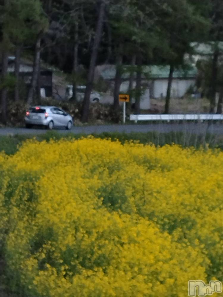 上越人妻デリヘル上越最安値！奥様Deli急便(ジョウエツサイヤスネ！オクサマデリキュウビン) スレンダーエロ熟女　さやか(48)の5月5日写メブログ「また行きたい」