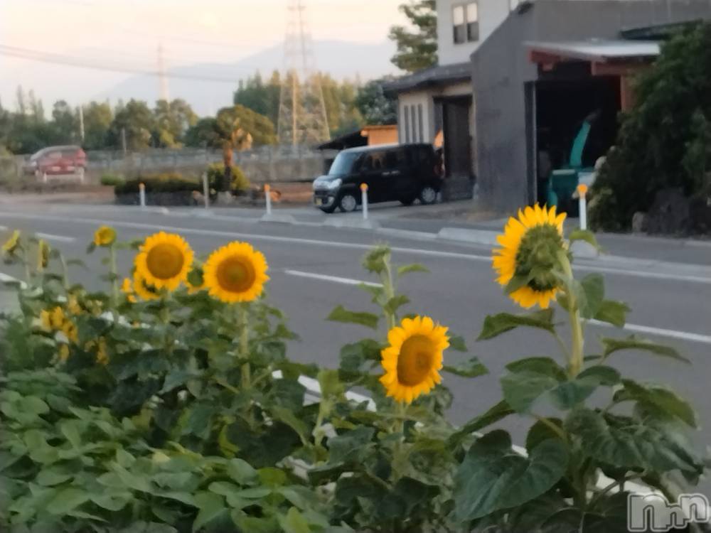 上越人妻デリヘル上越最安値！奥様Deli急便(ジョウエツサイヤスネ！オクサマデリキュウビン) スレンダーエロ熟女　さやか(48)の7月4日写メブログ「夏ですね」