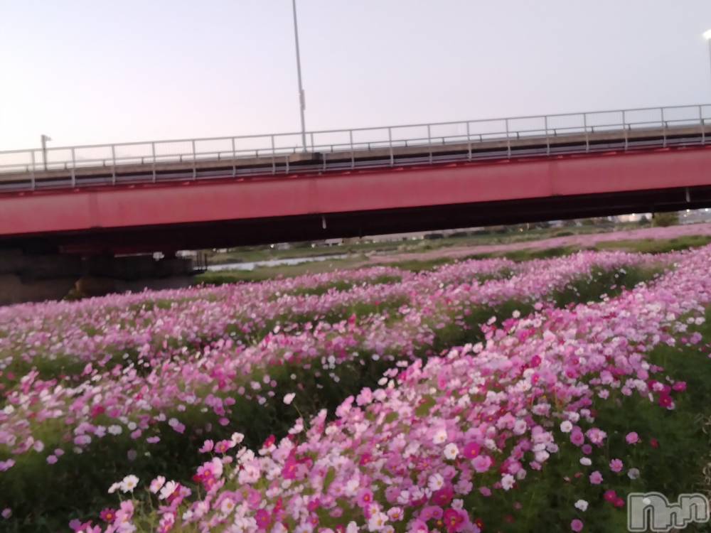 上越デリヘル上越最安値！奥様Deli急便(ジョウエツサイヤスネ！オクサマデリキュウビン) スレンダーエロ熟女　さやか(48)の10月24日写メブログ「関川」