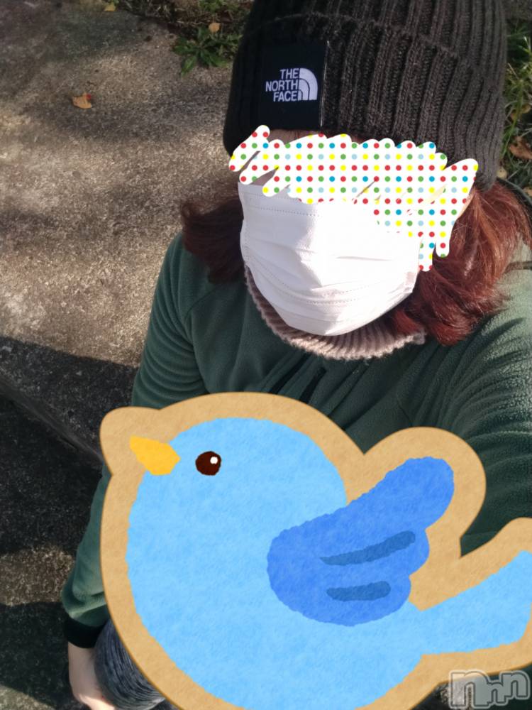 上越デリヘル上越最安値！奥様Deli急便(ジョウエツサイヤスネ！オクサマデリキュウビン) スレンダーエロ熟女　さやか(48)の12月2日写メブログ「お日様の光」