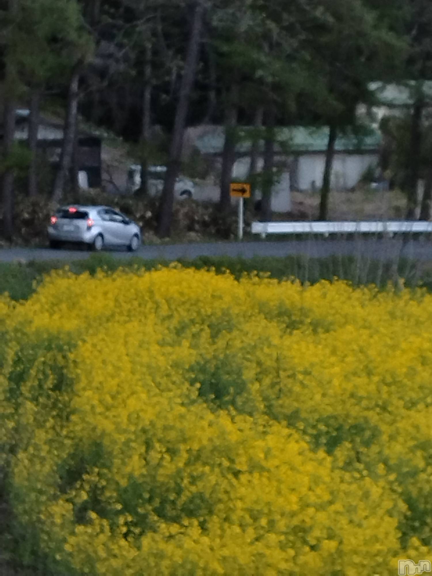 上越人妻デリヘル上越最安値！奥様Deli急便(ジョウエツサイヤスネ！オクサマデリキュウビン)スレンダーエロ熟女　さやか(48)の2025年5月5日写メブログ「また行きたい」