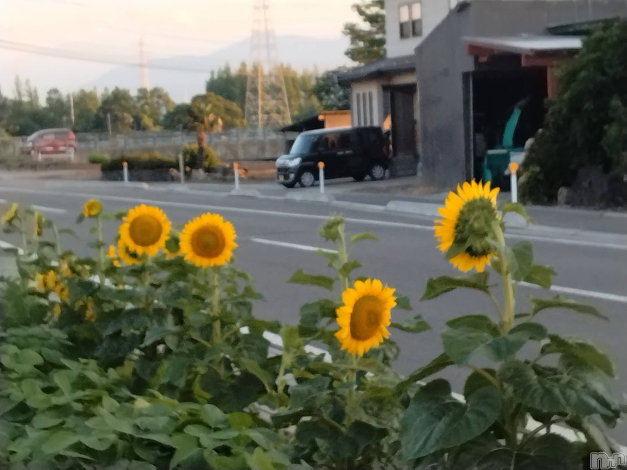 上越人妻デリヘル上越最安値！奥様Deli急便(ジョウエツサイヤスネ！オクサマデリキュウビン)スレンダーエロ熟女　さやか(48)の2025年7月4日写メブログ「夏ですね」