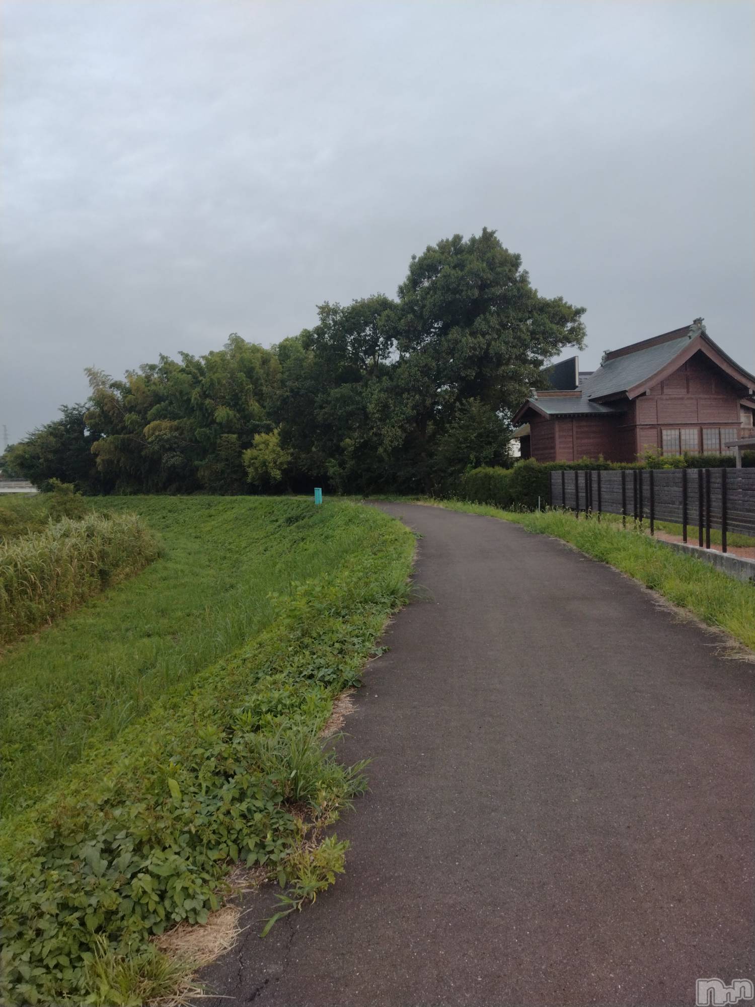 上越デリヘル上越最安値！奥様Deli急便(ジョウエツサイヤスネ！オクサマデリキュウビン)スレンダーエロ熟女　さやか(48)の2026年8月22日写メブログ「本日も」
