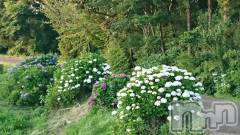 上越デリヘル上越最安値！奥様Deli急便(ジョウエツサイヤスネ！オクサマデリキュウビン) スレンダーエロ熟女　さやか(48)の6月28日写メブログ「お疲れ様です！」