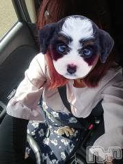 上越デリヘル上越最安値！奥様Deli急便(ジョウエツサイヤスネ！オクサマデリキュウビン) スレンダーエロ熟女　さやか(48)の7月30日写メブログ「ありがとうございます。」