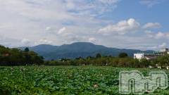 上越デリヘル上越最安値！奥様Deli急便(ジョウエツサイヤスネ！オクサマデリキュウビン) スレンダーエロ熟女　さやか(48)の9月11日写メブログ「退勤しました。」