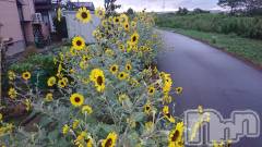 上越デリヘル上越最安値！奥様Deli急便(ジョウエツサイヤスネ！オクサマデリキュウビン) スレンダーエロ熟女　さやか(48)の9月30日写メブログ「お疲れ様です。」