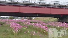 上越デリヘル上越最安値！奥様Deli急便(ジョウエツサイヤスネ！オクサマデリキュウビン) スレンダーエロ熟女　さやか(48)の11月22日写メブログ「今週末に」