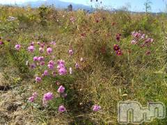 上越デリヘル上越最安値！奥様Deli急便(ジョウエツサイヤスネ！オクサマデリキュウビン) スレンダーエロ熟女　さやか(48)の10月15日写メブログ「退勤しました」