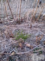 上越デリヘル上越最安値！奥様Deli急便(ジョウエツサイヤスネ！オクサマデリキュウビン) スレンダーエロ熟女　さやか(48)の3月21日写メブログ「発見」