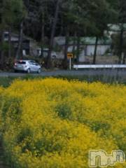 上越デリヘル上越最安値！奥様Deli急便(ジョウエツサイヤスネ！オクサマデリキュウビン) スレンダーエロ熟女　さやか(48)の5月5日写メブログ「また行きたい」