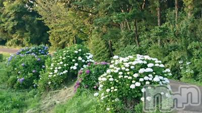 上越デリヘル 上越最安値！奥様Deli急便(ジョウエツサイヤスネ！オクサマデリキュウビン) スレンダーエロ熟女　さやか(48)の6月28日写メブログ「お疲れ様です！」