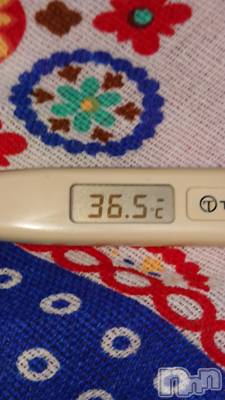 上越デリヘル 上越最安値！奥様Deli急便(ジョウエツサイヤスネ！オクサマデリキュウビン) スレンダーエロ熟女　さやか(48)の8月5日写メブログ「おはようございます。」