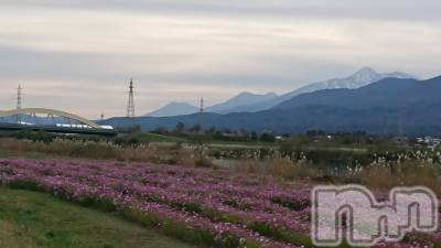 上越デリヘル 上越最安値！奥様Deli急便(ジョウエツサイヤスネ！オクサマデリキュウビン) スレンダーエロ熟女　さやか(48)の11月17日写メブログ「関川のコスモスは」