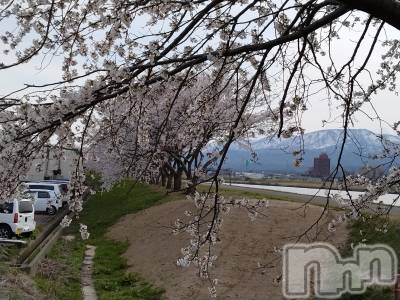 上越デリヘル 上越最安値！奥様Deli急便(ジョウエツサイヤスネ！オクサマデリキュウビン) スレンダーエロ熟女　さやか(48)の4月12日写メブログ「さくら」