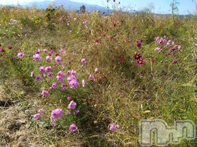上越デリヘル 上越最安値！奥様Deli急便(ジョウエツサイヤスネ！オクサマデリキュウビン) スレンダーエロ熟女　さやか(48)の10月15日写メブログ「退勤しました」