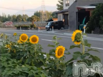 上越人妻デリヘル 上越最安値！奥様Deli急便(ジョウエツサイヤスネ！オクサマデリキュウビン) スレンダーエロ熟女　さやか(48)の7月4日写メブログ「夏ですね」
