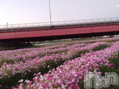 上越デリヘル 上越最安値！奥様Deli急便(ジョウエツサイヤスネ！オクサマデリキュウビン) スレンダーエロ熟女　さやか(48)の10月24日写メブログ「関川」