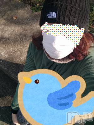 上越デリヘル 上越最安値！奥様Deli急便(ジョウエツサイヤスネ！オクサマデリキュウビン) スレンダーエロ熟女　さやか(48)の12月2日写メブログ「お日様の光」