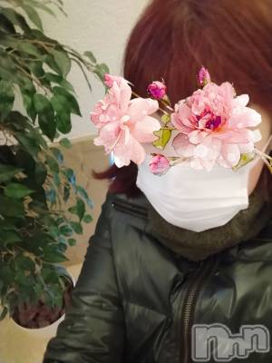 上越デリヘル 上越最安値！奥様Deli急便(ジョウエツサイヤスネ！オクサマデリキュウビン) スレンダーエロ熟女　さやか(48)の1月27日写メブログ「また明日から」