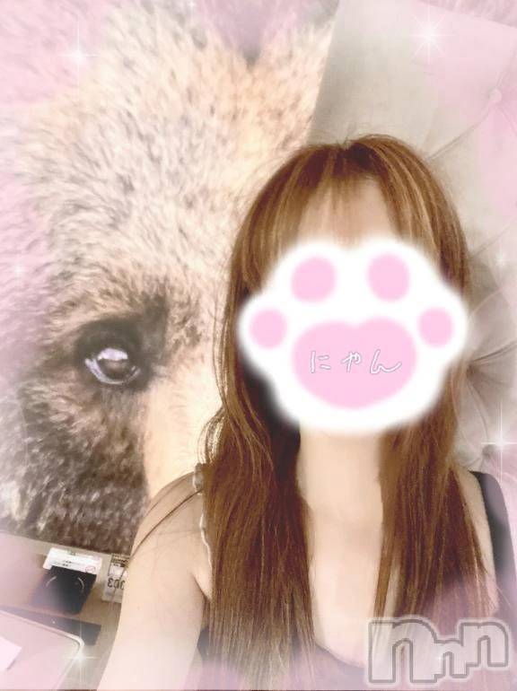 新潟デリヘル熟女の風俗 最終章(ジュクジョノフウゾクサイシュウショウ) ねこ(44)の4月12日写メブログ「明日、出勤します♡」