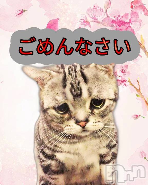新潟デリヘル熟女の風俗 最終章(ジュクジョノフウゾクサイシュウショウ) ねこ(44)の4月16日写メブログ「出勤取り下げごめんなさい😭」