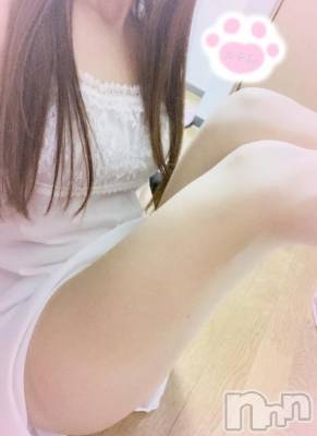 新潟デリヘル 熟女の風俗 最終章(ジュクジョノフウゾクサイシュウショウ) ねこ(44)の11月10日写メブログ「明日は出勤♡」