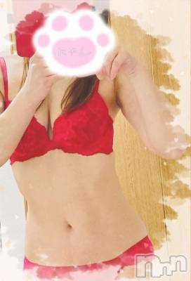 新潟デリヘル 熟女の風俗 最終章(ジュクジョノフウゾクサイシュウショウ) ねこ(44)の12月24日写メブログ「明日、16時から出勤します」