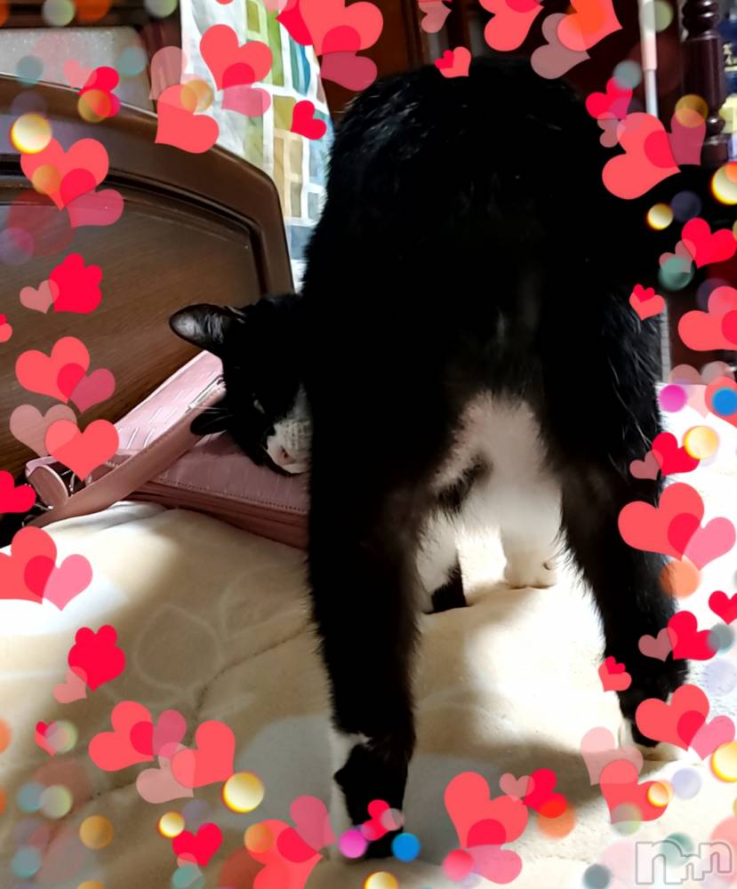 Х顦ֽϽХ Lips(奯祭Хåץ) 59̥֥֥å♥️