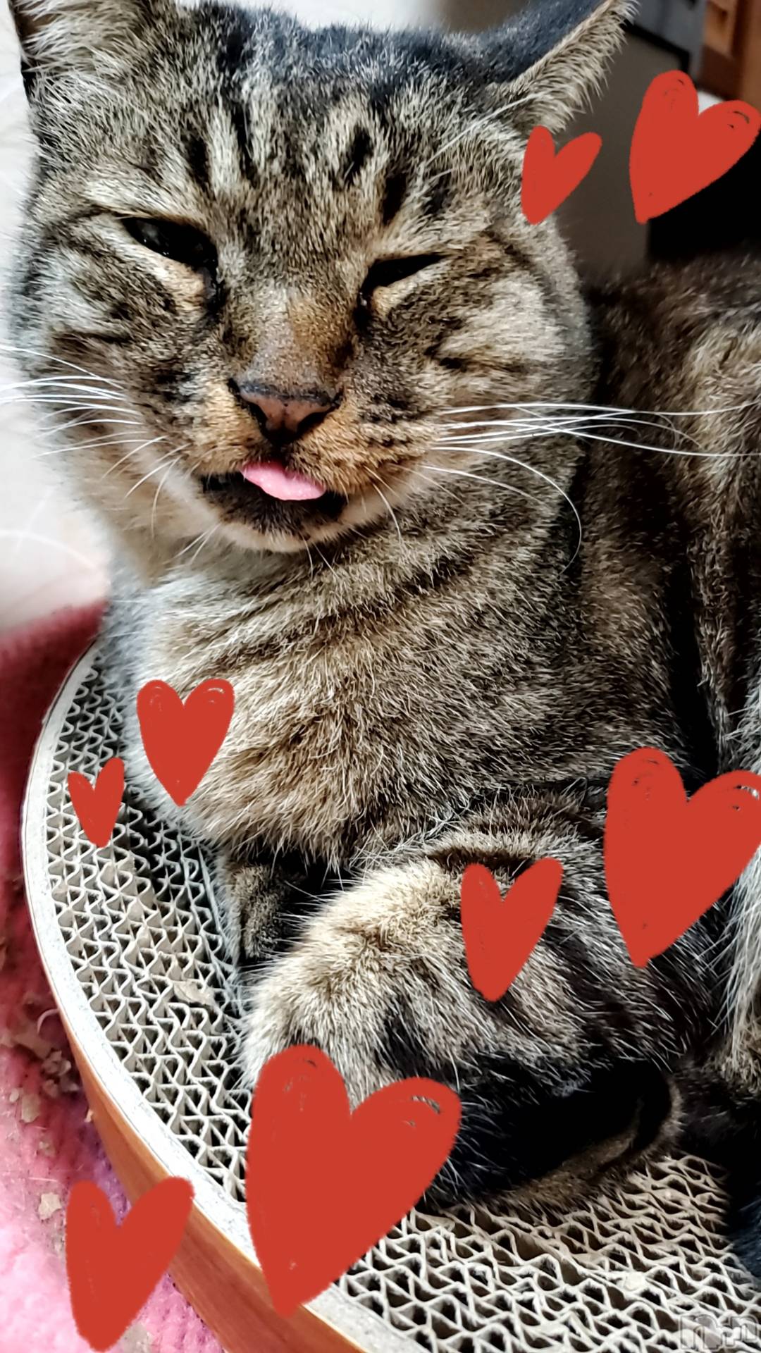 Х顦ֽϽХ Lips(奯祭Хåץ) 2023ǯ125̥֥֤֤⤳♥️