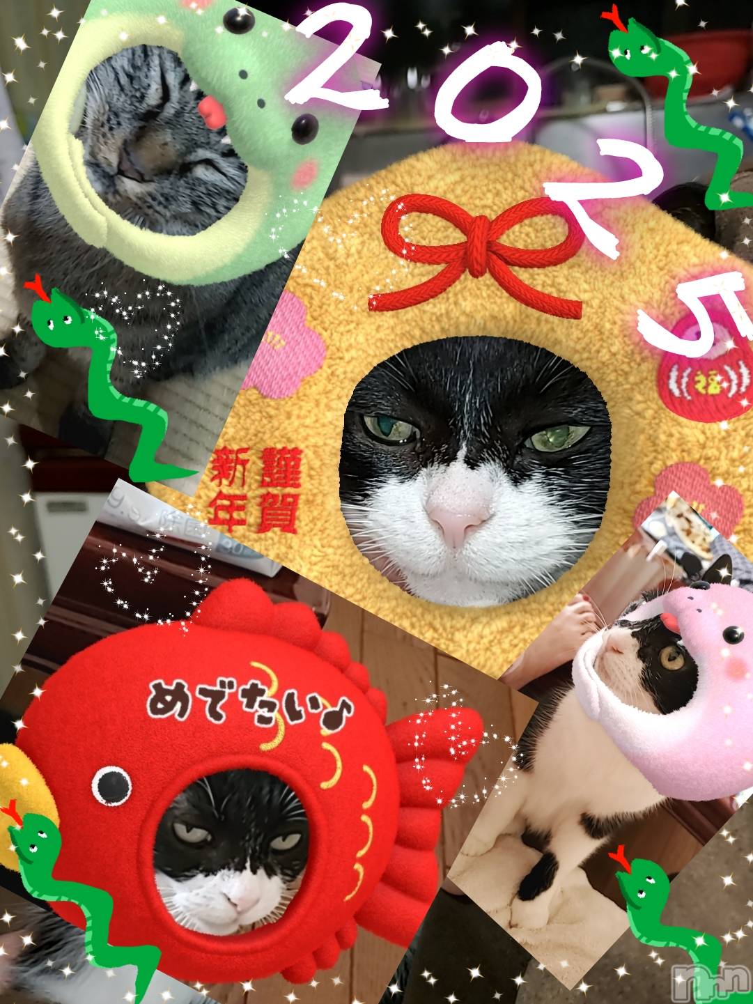 Х顦ֽϽХ Lips(奯祭Хåץ) 2025ǯ117ֺ̥֥ǯȡ♥️