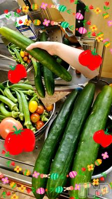 Х顦ֽϽХ Lips(奯祭Хåץ) 717̥֥֥ץ쥤ġ