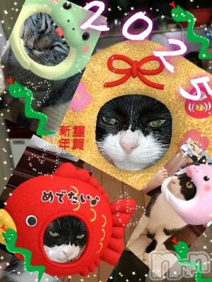 Х顦ֽϽХ Lips(奯祭Хåץ) 117ֺ̥֥ǯȡ♥️