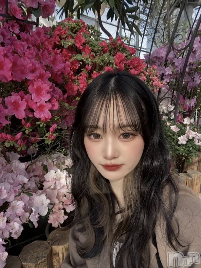 ʥå륺С󥻥ץȥե̴Ѷ~̤⤷ʤ¤~(󥻥ץȥեߥϥ祦) ʤ510̥֥֥ҥ륫ġ
