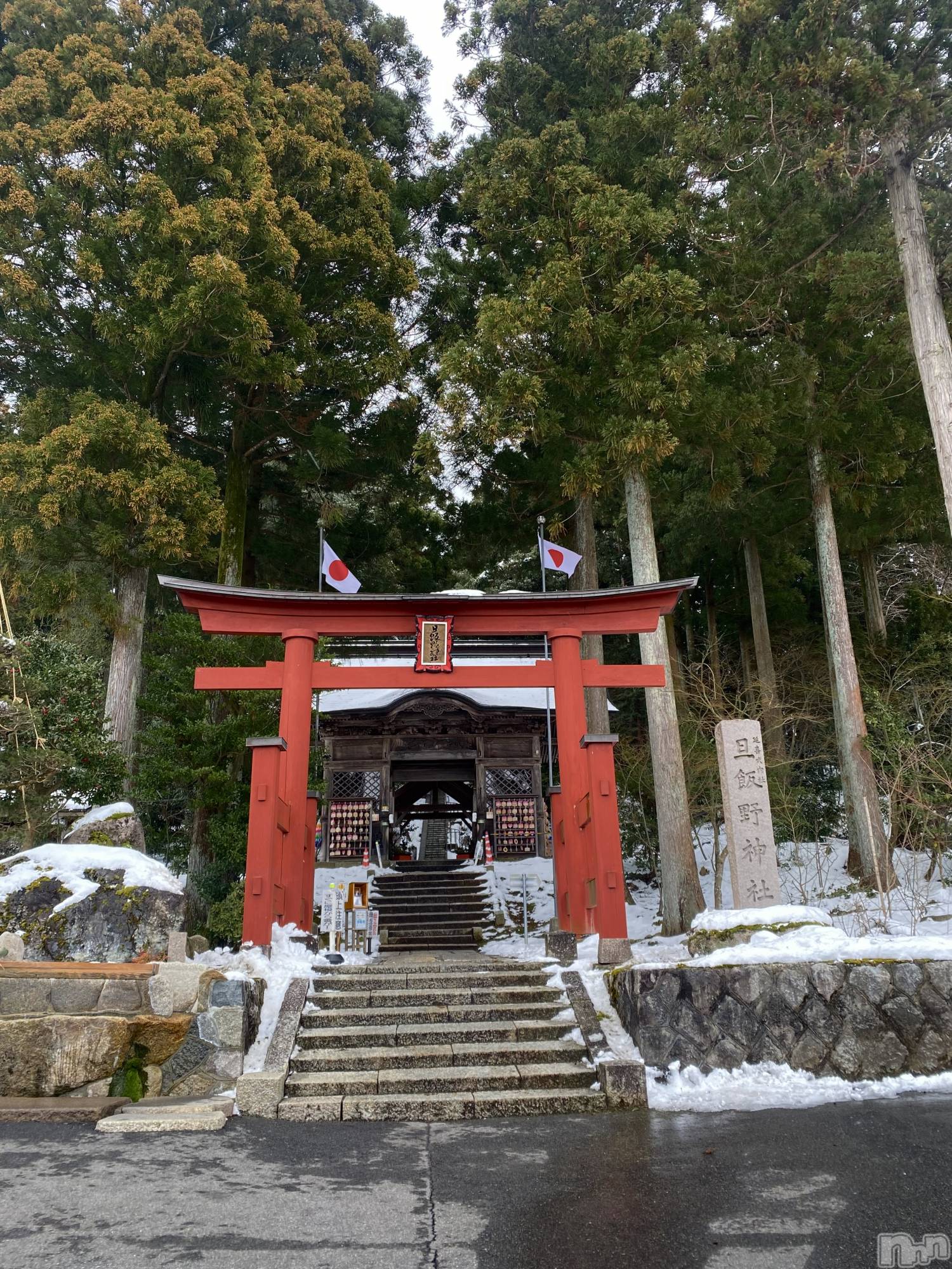 ����������ʥå��������륺�С����󥻥ץȥ��ե���̴�����Ѷ���~������̤��⤷��ʤ��¤��~(���󥻥ץȥ��ե����ߥ�ϥ����祦����) ��2026ǯ2��1���̥�֥����֥ǡ��ȡ�