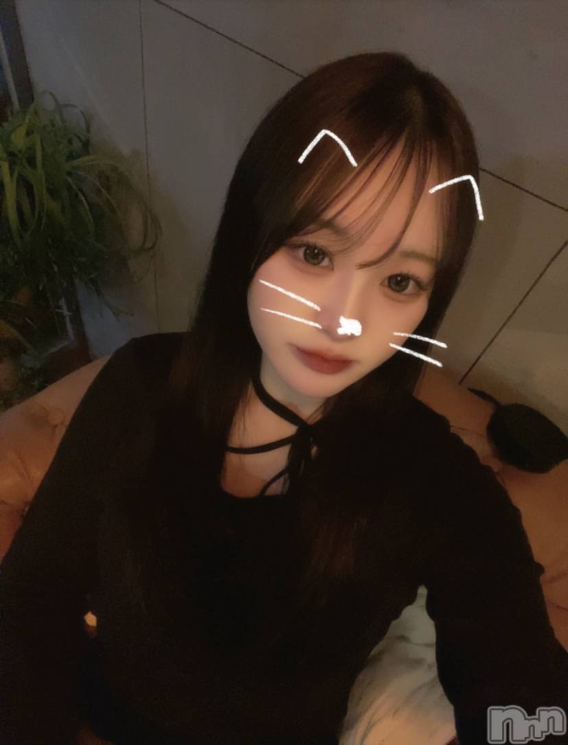 ����������ʥå��������륺�С����󥻥ץȥ��ե���̴�����Ѷ���~������̤��⤷��ʤ��¤��~(���󥻥ץȥ��ե����ߥ�ϥ����祦����) ��2026ǯ2��12���̥�֥����֤��꤬�Ȥ���