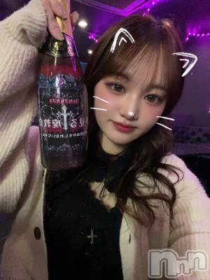 ʥå륺С󥻥ץȥե̴Ѷ~̤⤷ʤ¤~(󥻥ץȥեߥϥ祦) ʤ127ֿ̥֥ߤ