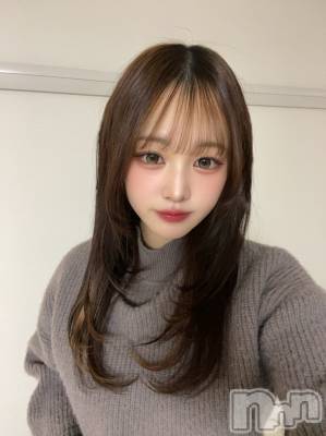 ����������ʥå��������륺�С����󥻥ץȥ��ե���̴�����Ѷ���~������̤��⤷��ʤ��¤��~(���󥻥ץȥ��ե����ߥ�ϥ����祦����) ����ʤ�2��6���̥�֥�������ʢ��­��