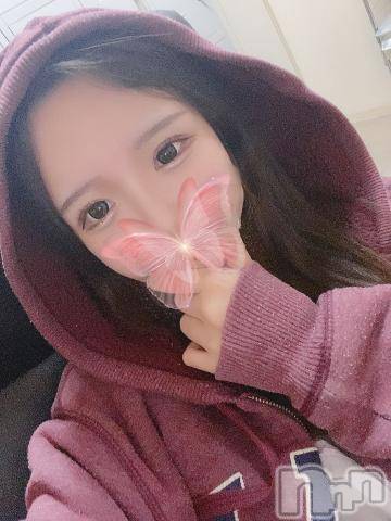 長岡デリヘルROOKIE(ルーキー)かるた(20)の2023年12月12日写メブログ「🐙なんでこんなに責め派なの？」
