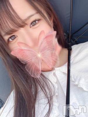 長岡デリヘル ROOKIE(ルーキー) かるた(20)の7月14日写メブログ「発情期の女の子に負けて筆下ろしされちゃう童貞⸜❤︎⸝」