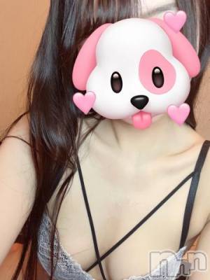 長岡デリヘル ROOKIE(ルーキー) かるた(20)の8月21日写メブログ「犬猫に囲まれて癒されて暮らしたい」