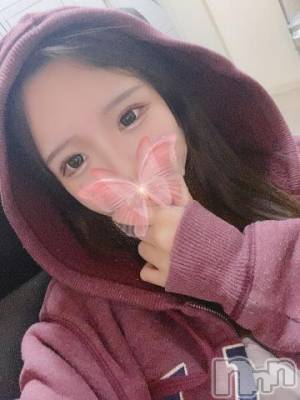 長岡デリヘル ROOKIE(ルーキー) かるた(20)の12月12日写メブログ「🐙なんでこんなに責め派なの？」