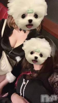 ̴̶̷̤ . ̴̶̷̤