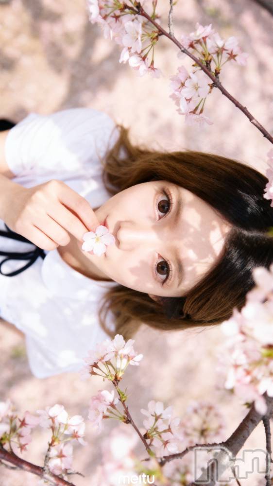 新潟メンズエステあろまえすて＠新潟(アロマエステアットニイガタ) 桜＊さくら(30)の3月25日写メブログ「DT中」