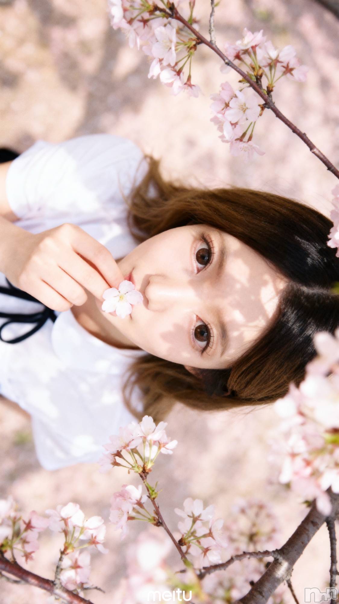 新潟メンズエステあろまえすて＠新潟(アロマエステアットニイガタ)桜＊さくら(30)の2026年3月25日写メブログ「DT中」