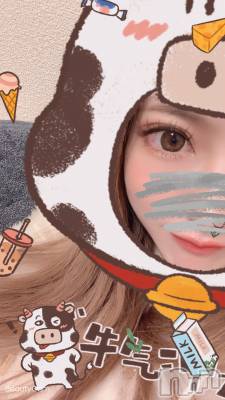 㡦ȯĥꥢ󥺥Ƥޤơ(ޥƥåȥ˥) (30)108̥֥֤