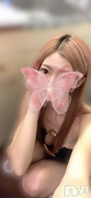 㡦ȯĥꥢ󥺥Ƥޤơ(ޥƥåȥ˥) (30)1011ֿ̥֥䤷˲񤤤ҡ