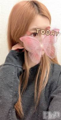 㡦ȯĥꥢ󥺥Ƥޤơ(ޥƥåȥ˥) (30)1015̥֥֤ʤ顢