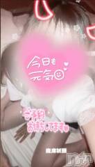 長岡デリヘル純・無垢(ジュンムク) みらい(18)の11月8日写メブログ「お久しぶりです」